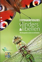 Fotografiegids Vlinders en Libellen