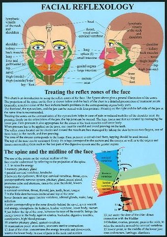 Facial Reflexology -- A4