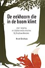 De eekhoorn die in de boom klimt