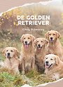 De Golden Retriever De Golden Retriever