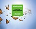 Strategic Transformation Strategic Transformation