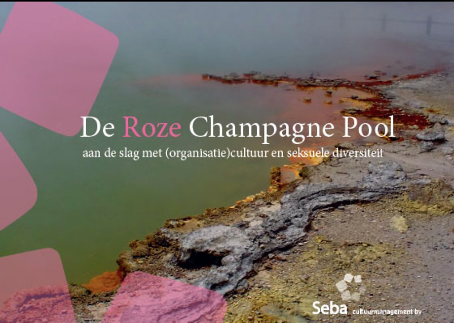 De Roze Champagne Pool: aan de slag met (organisatie)cultuur en seksuele diversiteit