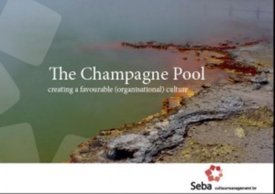 The Champagne Pool: Creating a favourable organisational culture