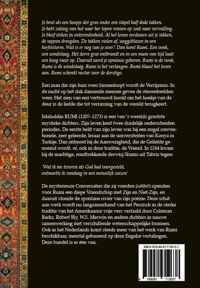 Ik vraag me af hoe ik ooit op het idee kwam taal te gebruiken