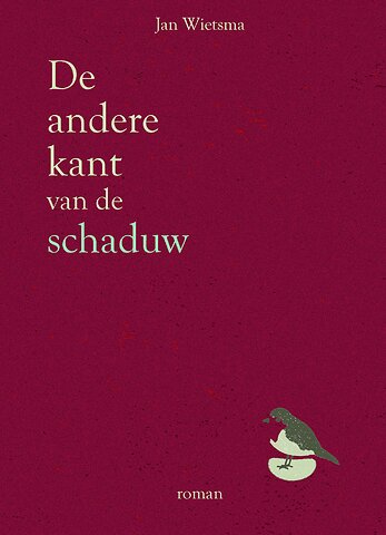De andere kant van de schaduw