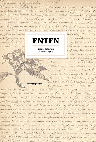 Enten