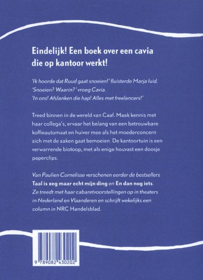 De verwarde cavia