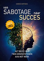 Van Sabotage naar Succes