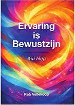 Ervaring is bewustzijn