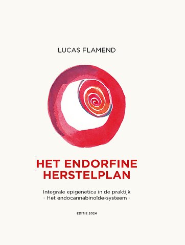 Het endorfine herstelplan