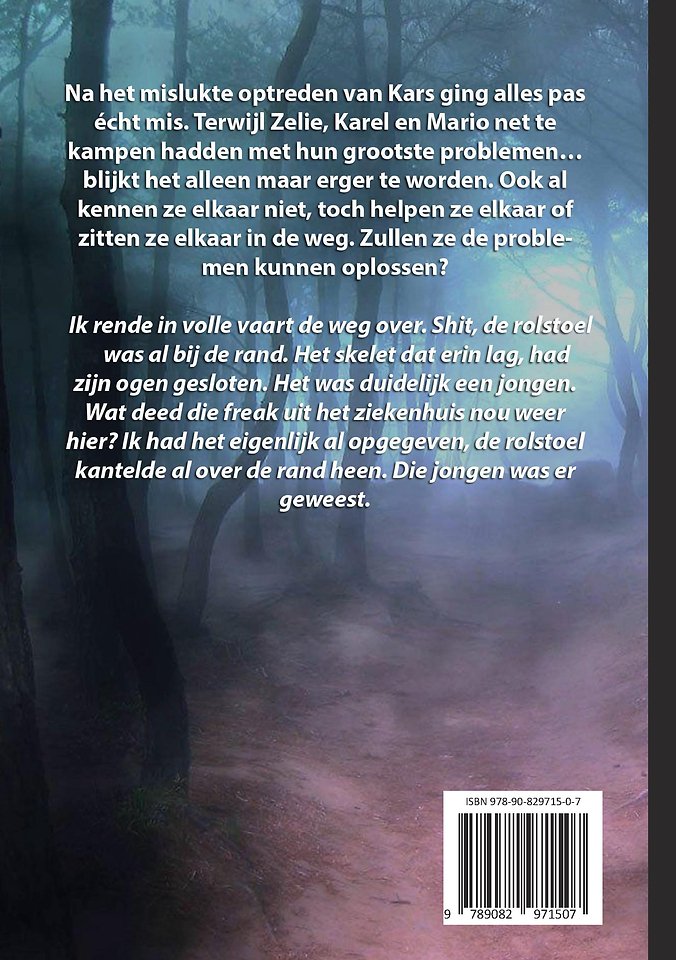 Een dubbeltje met chaos