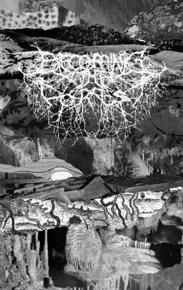 Becoming the Forest V