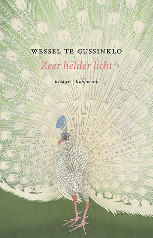 Zeer helder licht