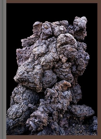 Imaginary Ecologies
