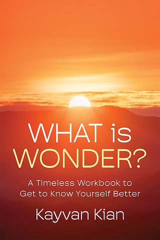 What Is Wonder?