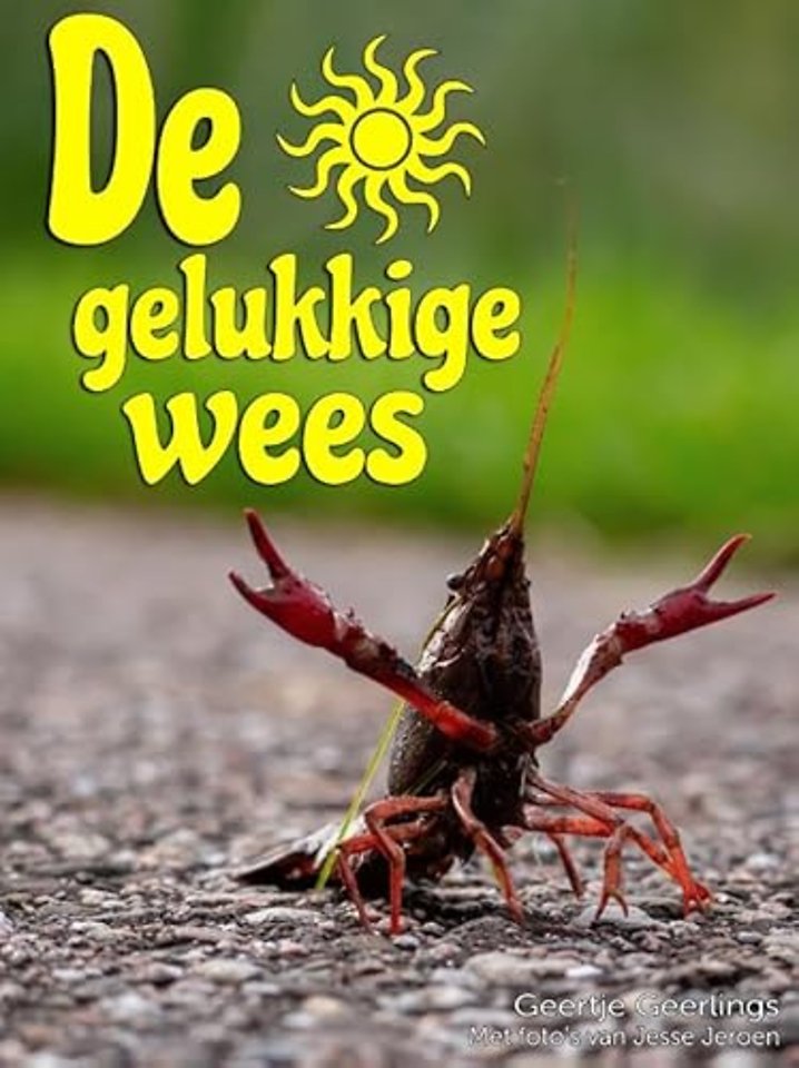 De gelukkige wees