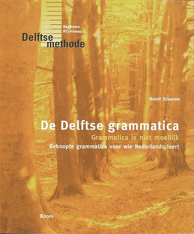 De Delftse grammatica