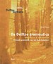 De Delftse grammatica