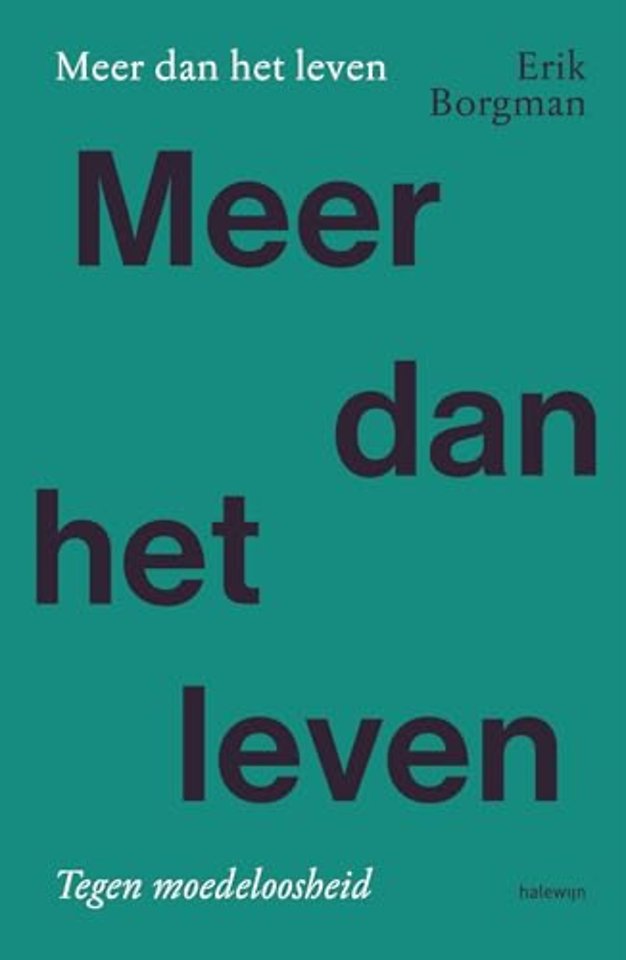 Meer dan het leven