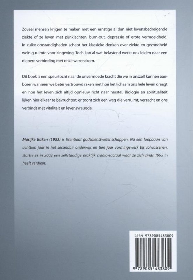 Het doorzichtige lichaam