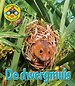 De dwergmuis