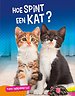 Hoe spint een kat?