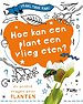 Hoe kan een plant een vlieg eten?