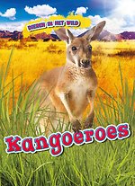 Kangoeroes
