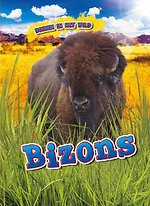 Bizons