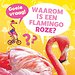 Waarom is een flamingo roze?