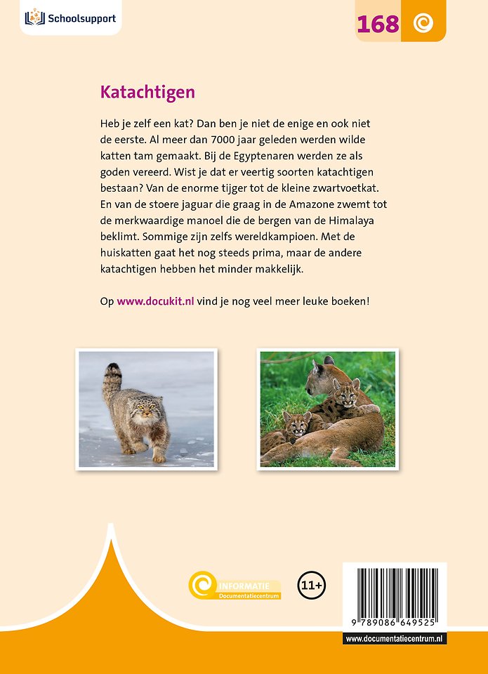 Katachtigen