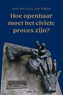 Hoe openbaar moet het civiele proces zijn?