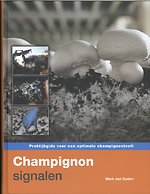 Champignonsignalen