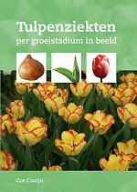 Tulpenziekten