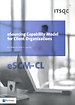 eSourcing Capability Model for Client Organizations (eSCM-CL)