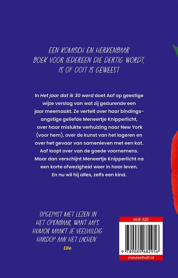 Het jaar dat ik 30 werd