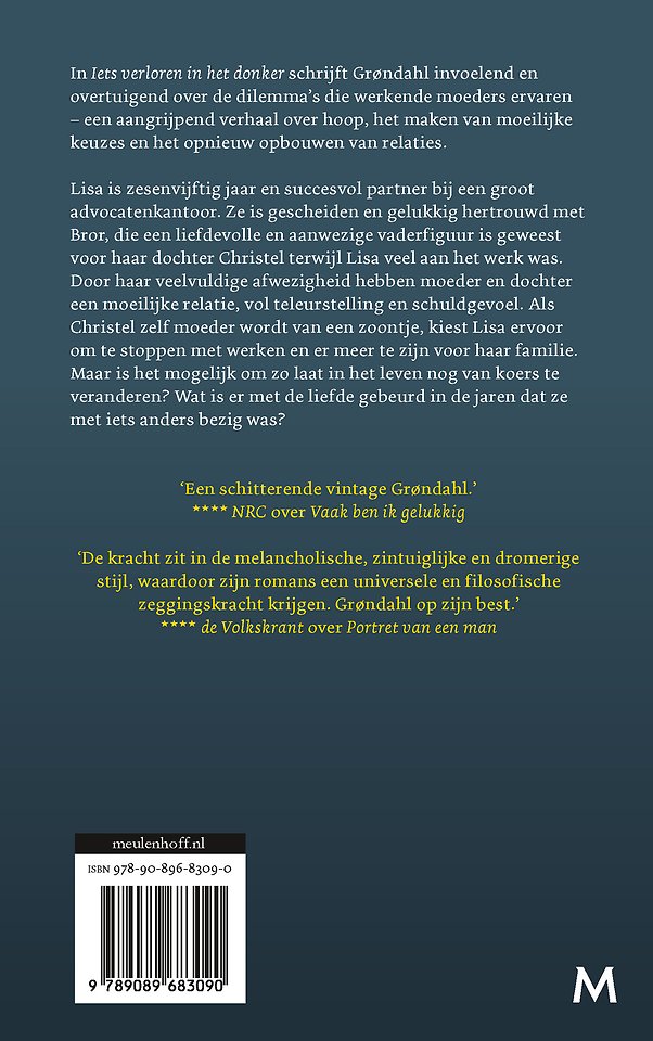 Iets verloren in het donker