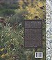Plannen en planten