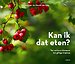 Kan ik dat eten?