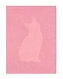 Felis Silvestris Catus Felis Silvestris Catus