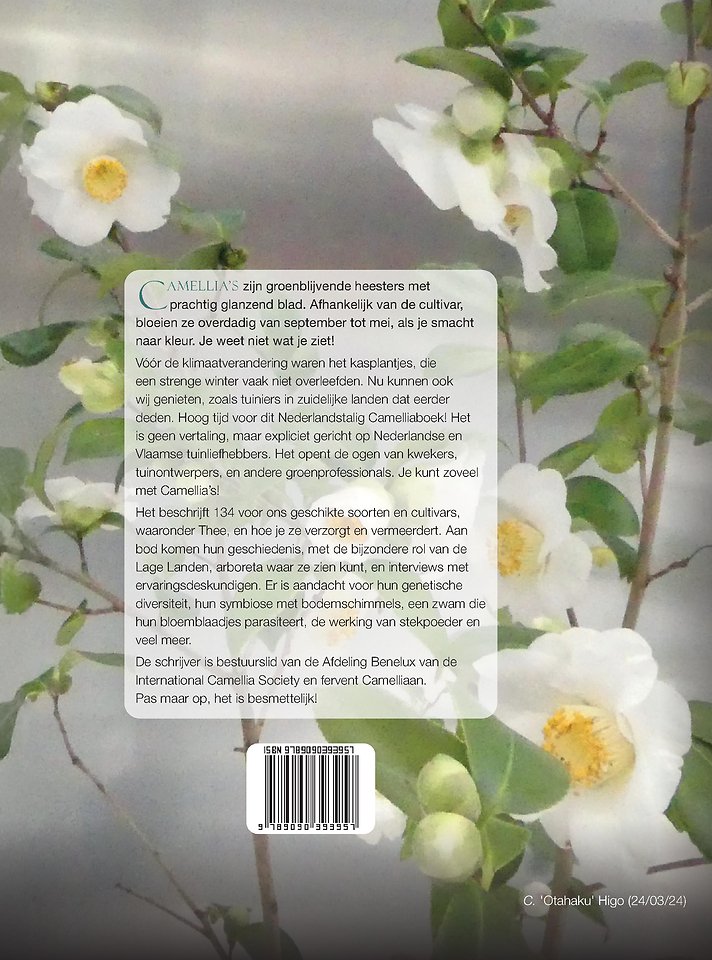 Camellia's voor de Lage Landen