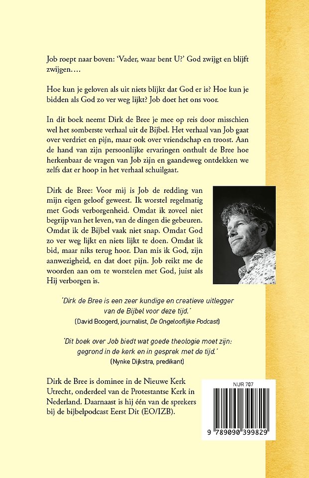 De kwestie Job