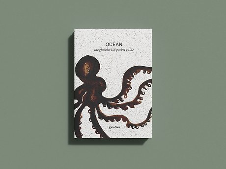 OCEAN the gloobles UK pocket guide