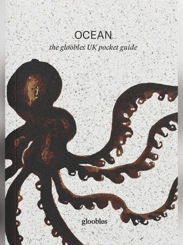 OCEAN the gloobles UK pocket guide