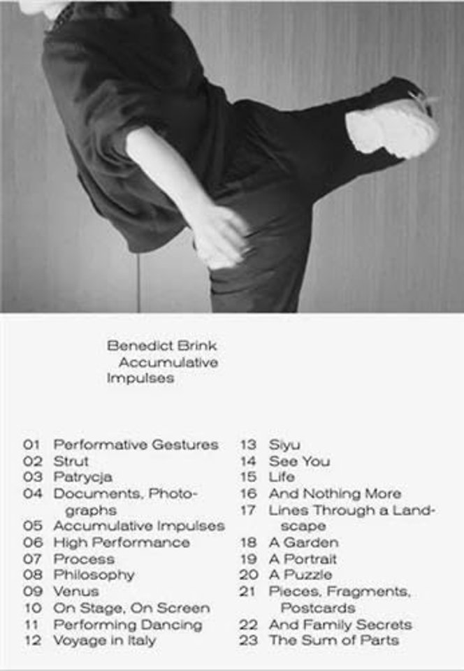 N° 3 : Accumulative Impulses