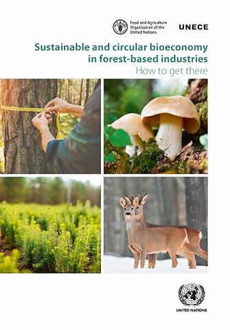 Sustainable and Circular Bioeconomy in Forest–ba – How to Get There