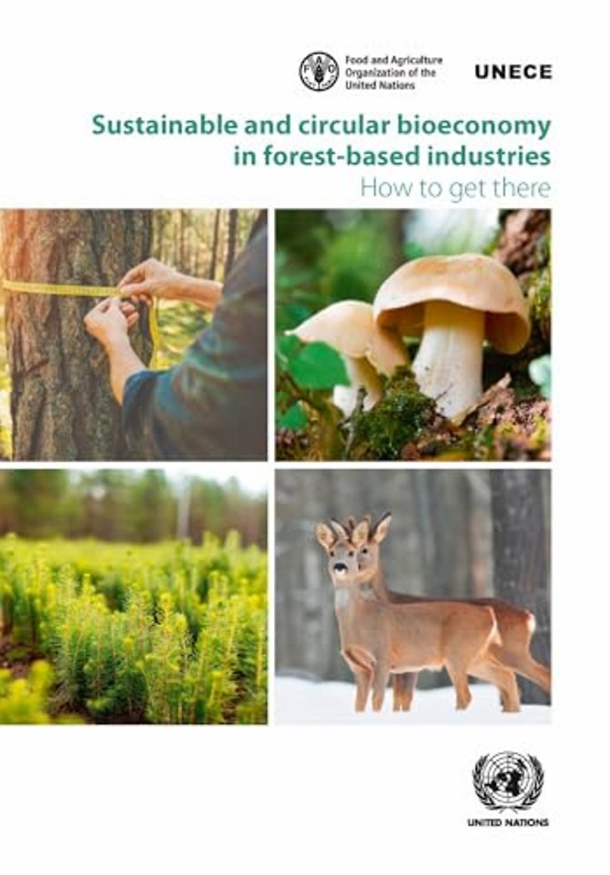 Sustainable and Circular Bioeconomy in Forest–ba – How to Get There