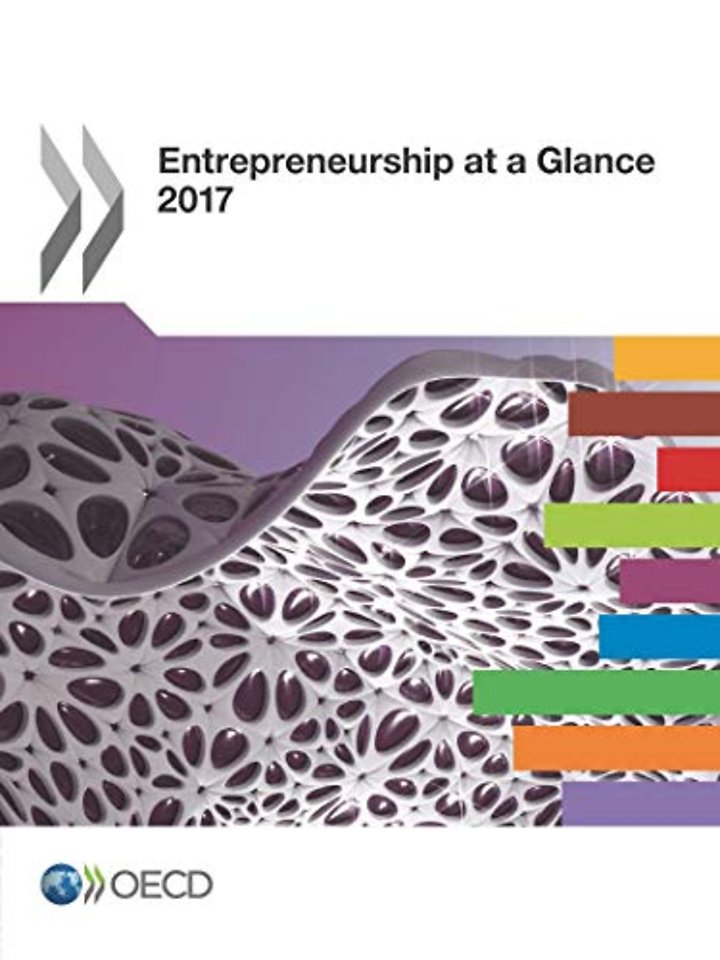 Entrepreneurship at a Glance 2017