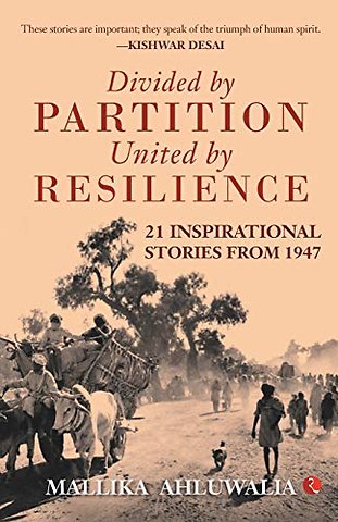 Divided by Partition