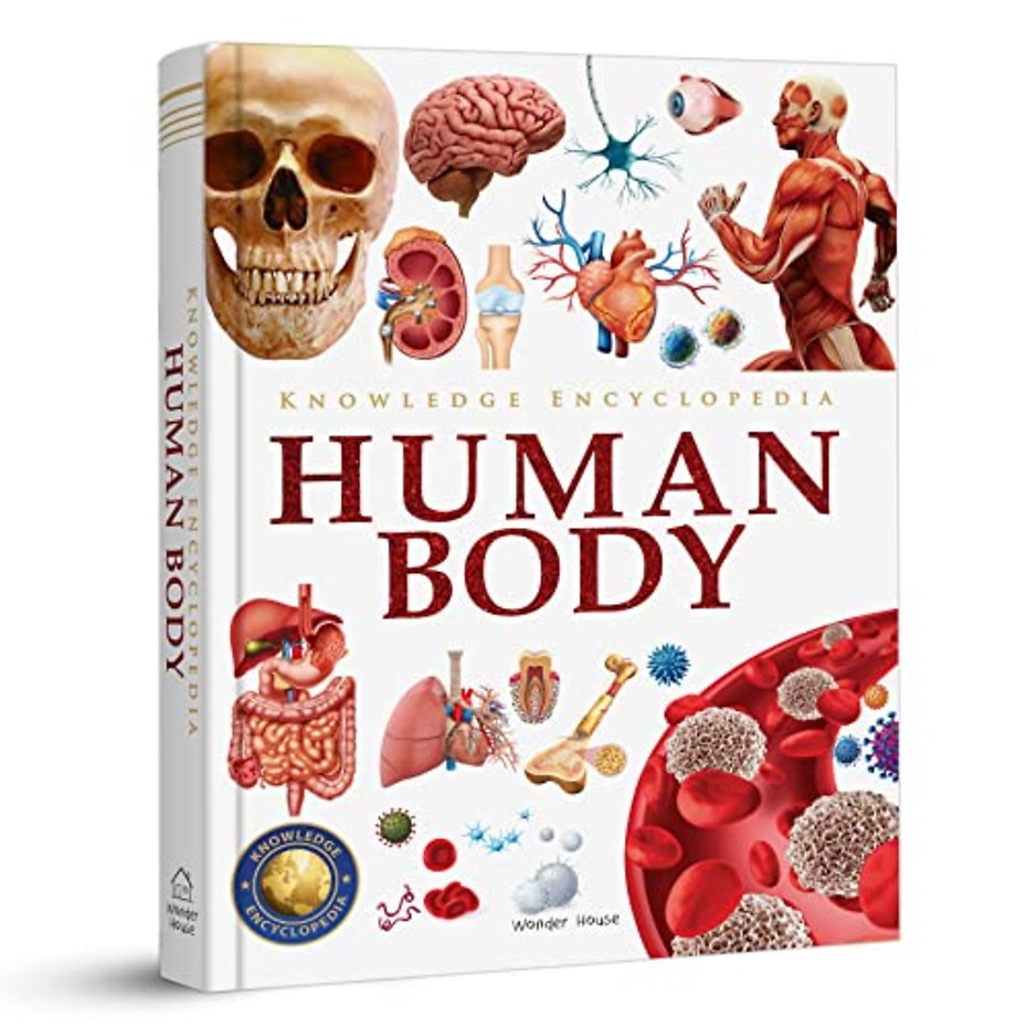 Knowledge Encyclopedia Human Body